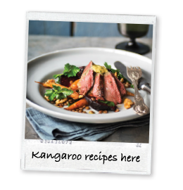 more-recipes-polaroid2